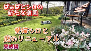 【母の退院準備】庭が一新！快適な人工芝と安全なベンチで愛猫シロも大喜び（完成編）【オリジナル曲】