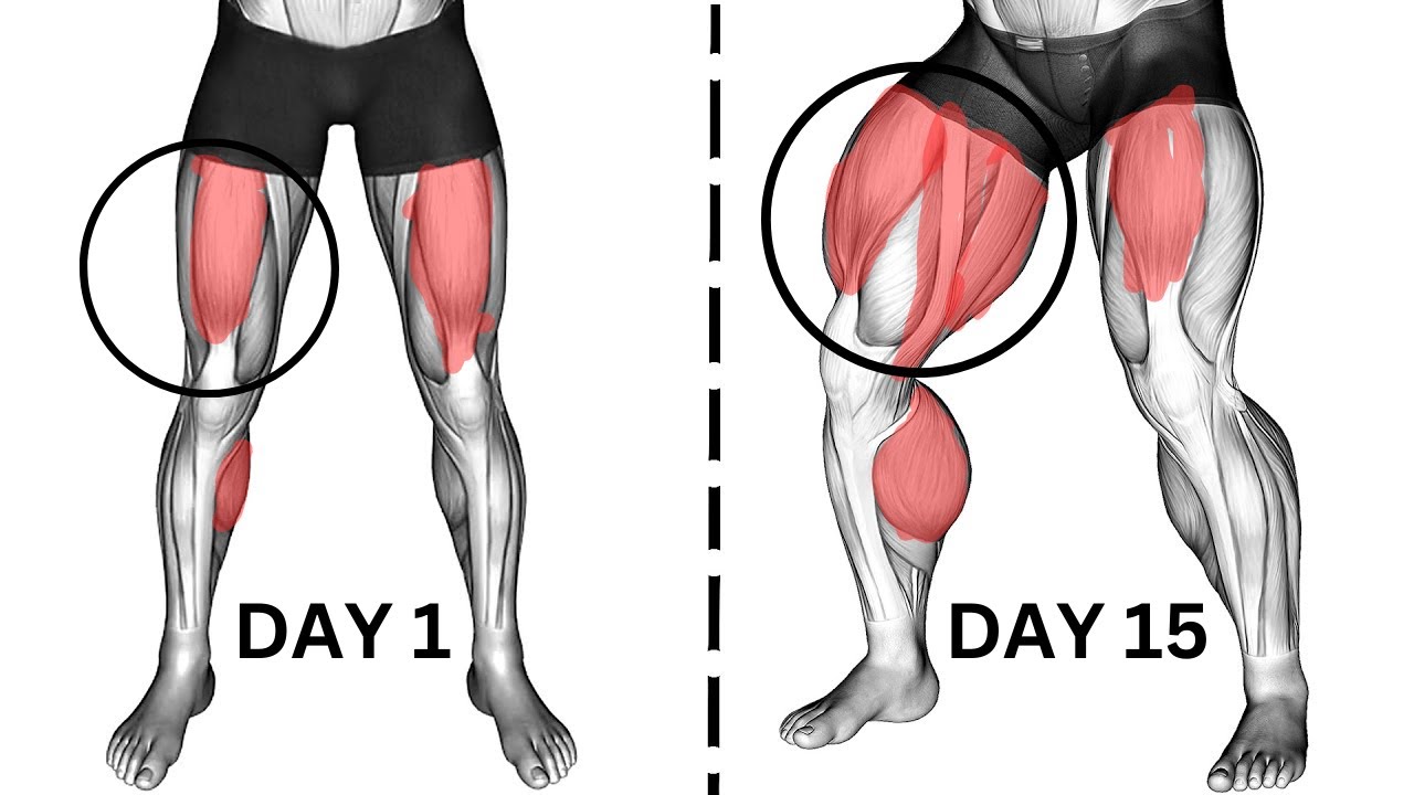 Best Exercises for Stronger Legs - YouTube