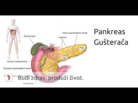 Video: Da li su žlijezde sudokrine egzokrine ili endokrine?