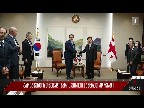 პარლამენტის თავმჯდომარის ვიზიტი სამხრეთ კორეაში