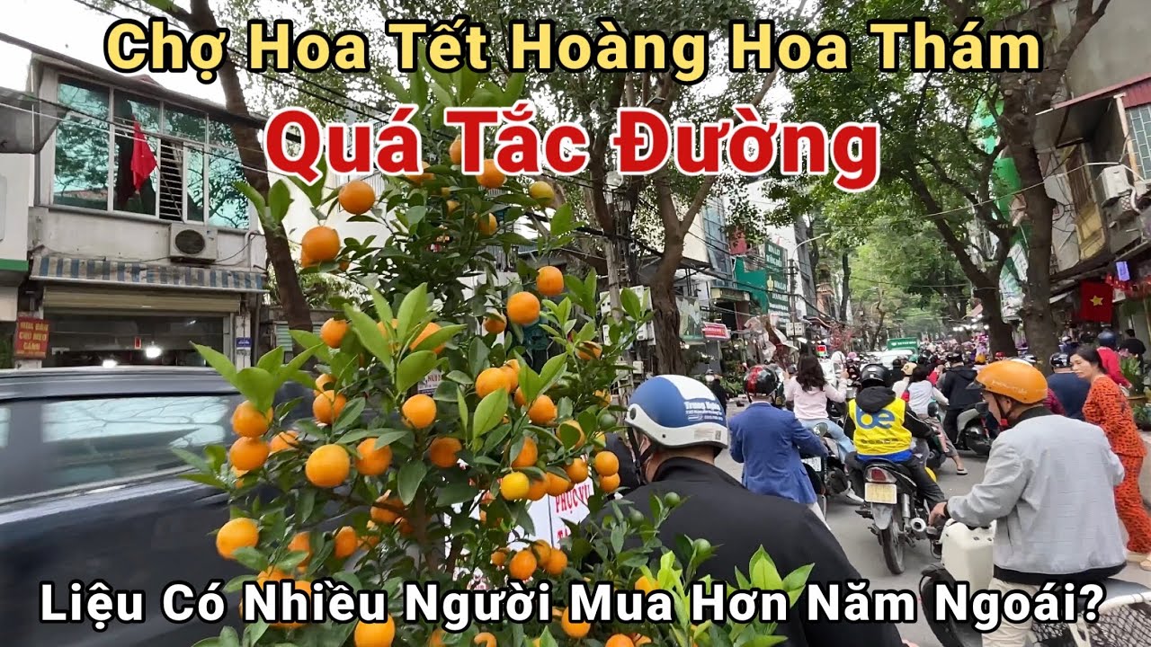 Tết Hà Nội 2026: Chợ Hoa Hoàng Hoa Thám Năm Nay Liệu Có Nhiều Người Đi Mua Đào, Quất? | Hùng Nasu