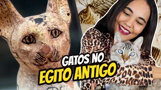 Gato do Egito: por que eles eram adorados?