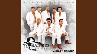 Video thumbnail of "Alacranes Musical - Sin Tu Amor"