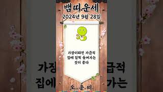 오늘의 뱀띠 운세 2024년 9월 28일 #뱀띠 #오늘의운세 #내일의운세 #운세 #운세쇼츠