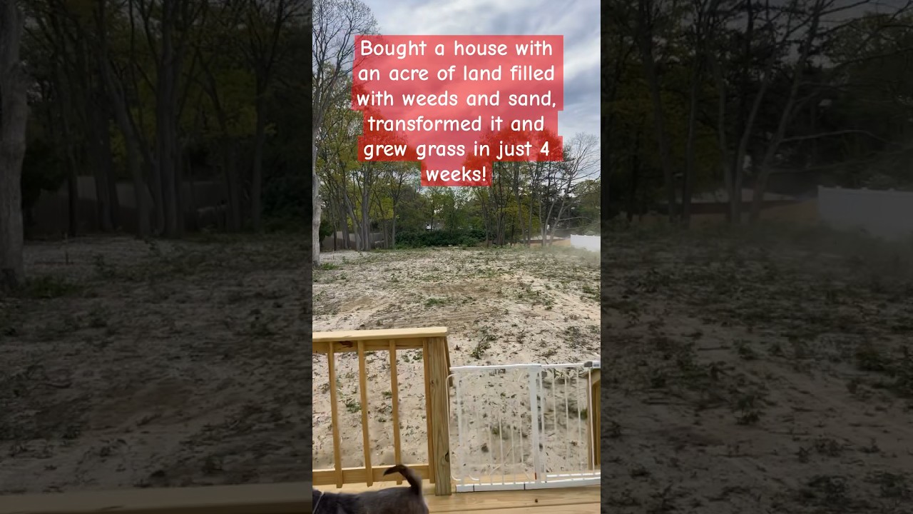 Transformed an acre of weeds into grass in just 4 weeks! acre grass 