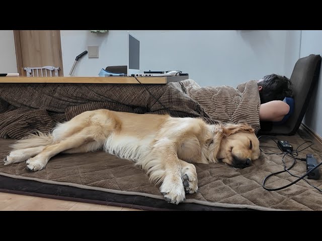 Living Life Freely. Turns Out, There Was a Big Secret! [Golden