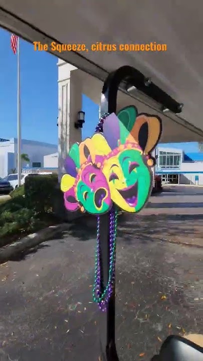 mardi gras transportation system company llc