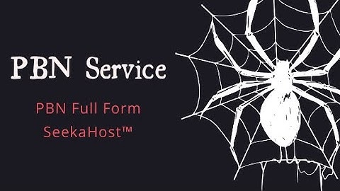 PBN Service: Private Blog Network Full Form Review | SeekaHost™