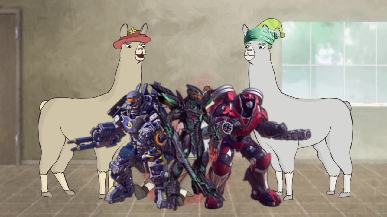 Llamas With Bandanas [Video]