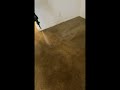 Customer called us back, odor treatment, low moisture carpet cleaning, VLM, Edmonds WA, Seattle Wa