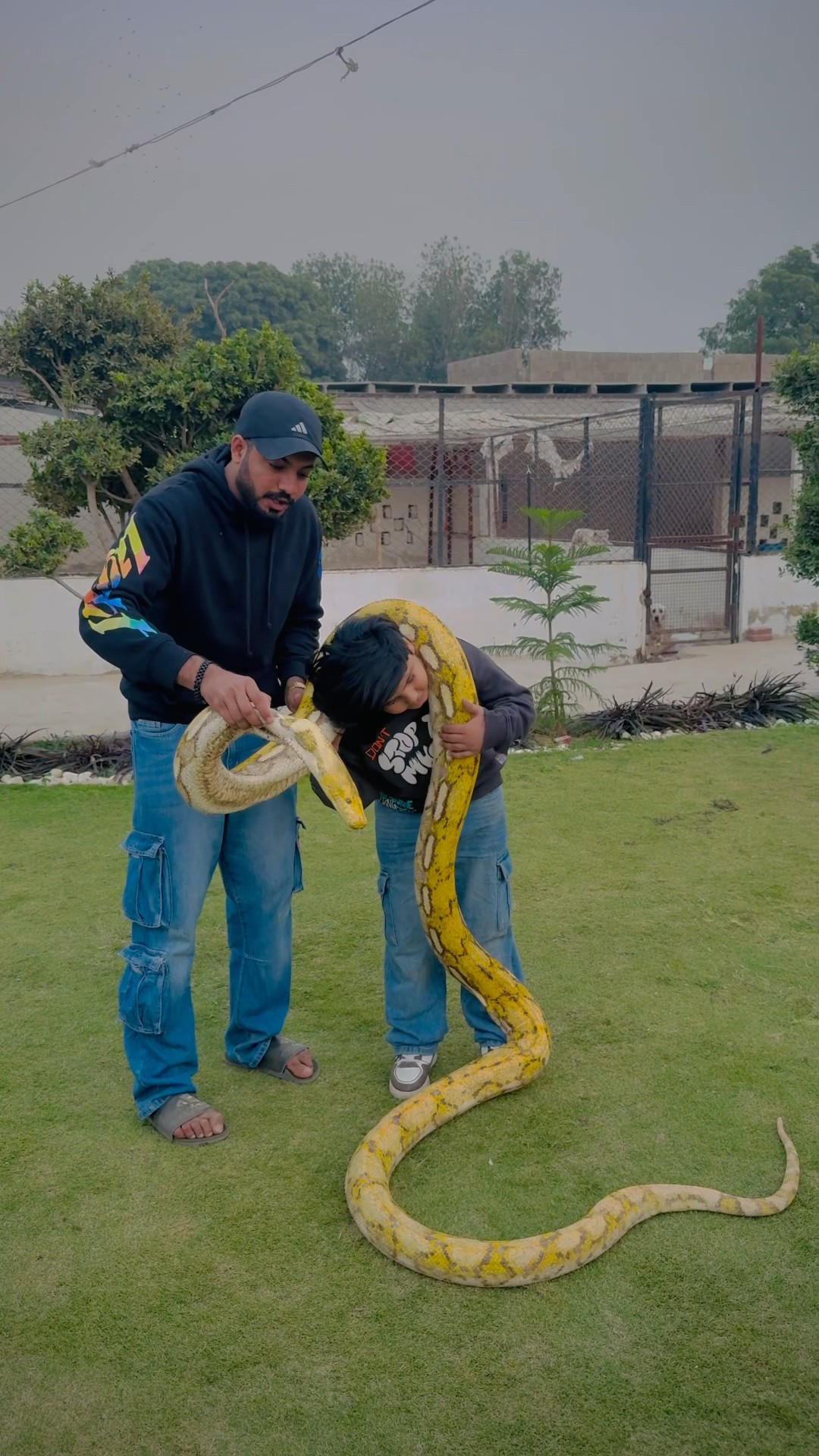 Ali ny world biggest snake ? ko kiss kr Di ? || #viralvideo #trending #foryou