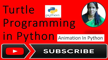Turtle Programming in Python | Animation in python | ratan agarwal it informer