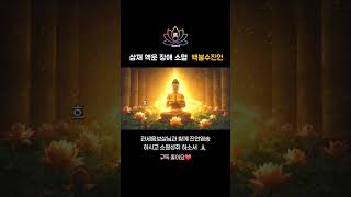 삼재 소멸 진언  노래🙏 [백불수진언] #관세음보살 진언 #진언송 #불교노래 #MZ불교음악 #불교 #소원성취