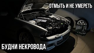 Будни некровода | E39 530i | Наводим марафет