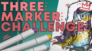 CHALLENGE! DRAWING with 3, 12 and 48 COLORS! 