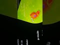 بعد حين حروف ورسوم على براعم 2011 