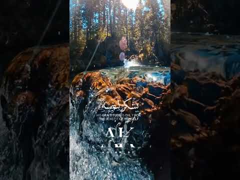 ومن شكر فإنما يشكر لنفسه بصوت القارئ اسلام صبحي