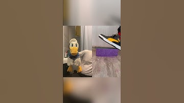 Donald Ducc can’t be himself anymore