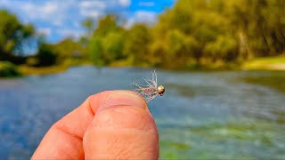 Euro Nymphing The Goulburn River