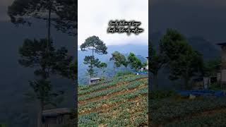 keindahan alam di cangar kota batu jatim #nature #explorejawa #travel #wisatajawatimur