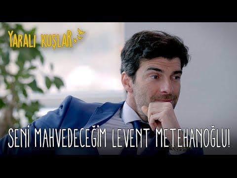 Seni Mahvedeceğim Levent Metehanoğlu! | Yaralı Kuşlar 30. Bölüm