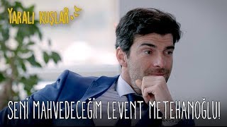 Seni Mahvedeceğim Levent Metehanoğlu! | Yaralı Kuşlar 30. Bölüm Seni Mahvedeceğim Levent Metehanoğlu! | Yaralı Kuşlar 30. Bölüm