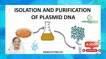Plasmid DNA Isolation।Alkaline lysis method । Heredity Biosciences