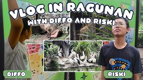 Tugas Vlog Informatika : Jelajahi Kebun Binatang Ragunan Bersama Diffo Dan Riski Nur