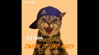 DJ TWERK IT LIKE MILEY BREAKBEAT