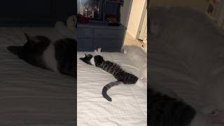 They Just Be Chilling