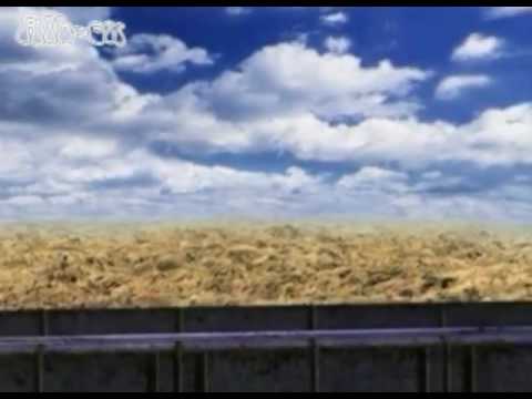 Final Fantasy VIII Ayla Liebe