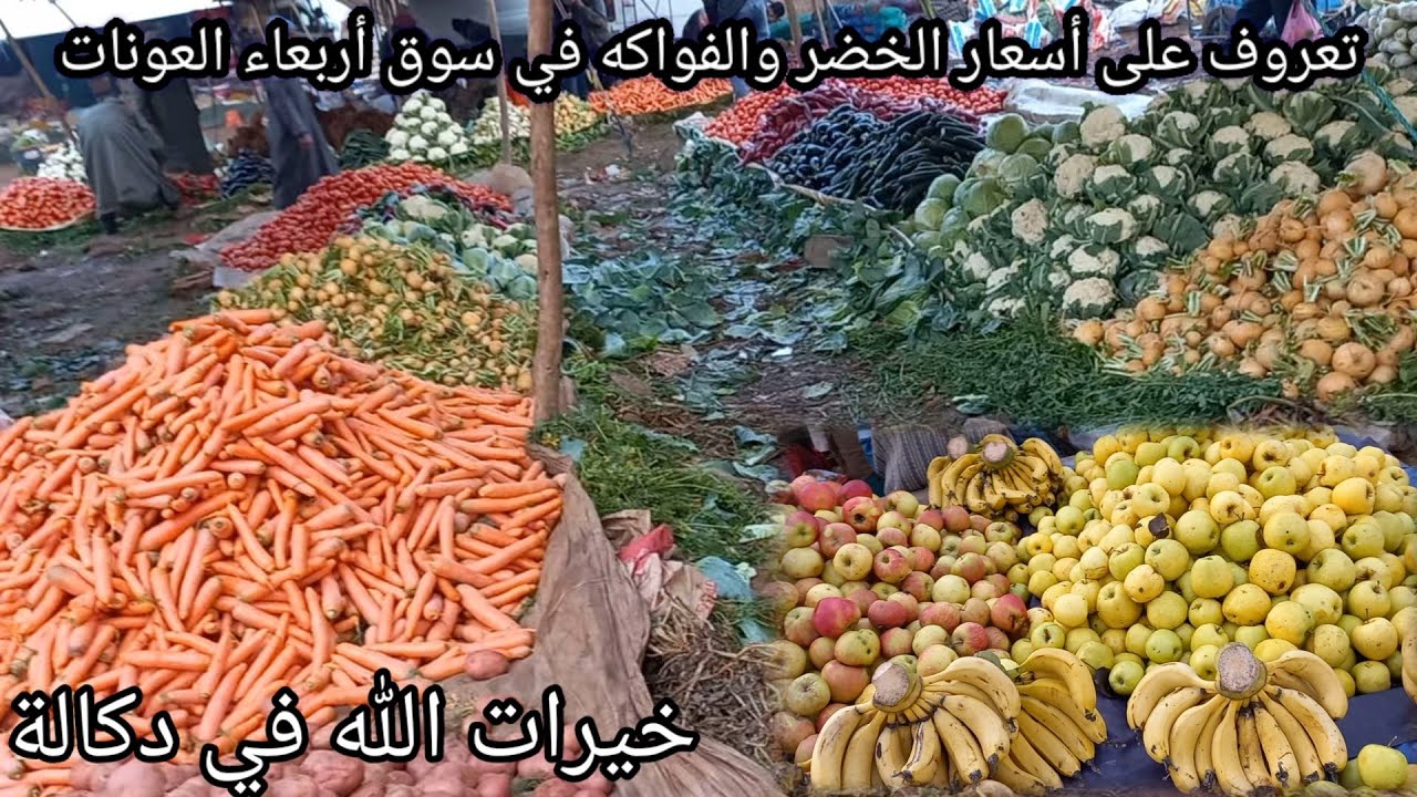 أجي نتعرفو على أسعار الخضر والفواكه في سوق أربعاء العونات إقليم سيدي بنور بي تاريخ 18/01/2023