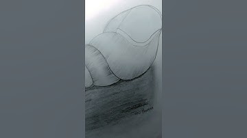 How to draw easy shell 🐚#shell#pencilsketch#art#drawing#shorts#youtubeshorts