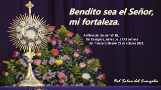 Video thumbnail of "Antífona del Salmo 143, Bendito sea el Señor, mi fortaleza."