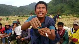 Download lagu Bebelen i lah ni ume