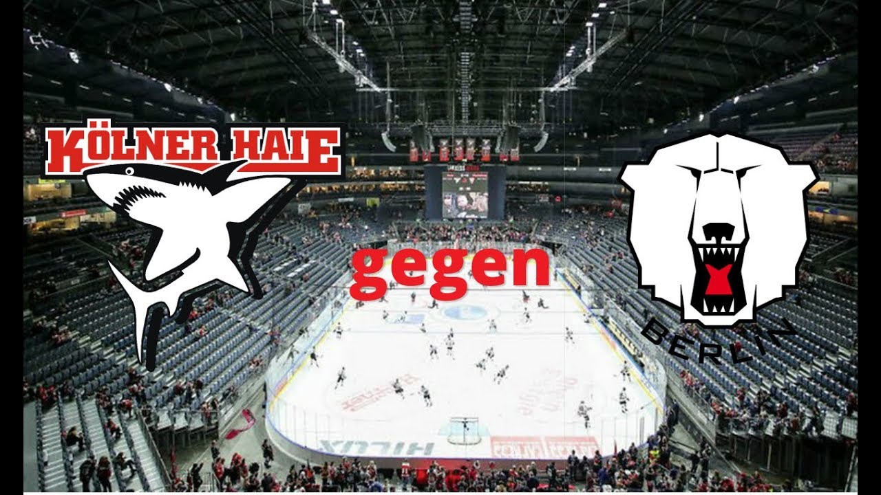 DEL-Vorschau: Kölner Haie vs. Eisbären Berlin | Hockeyweb.de