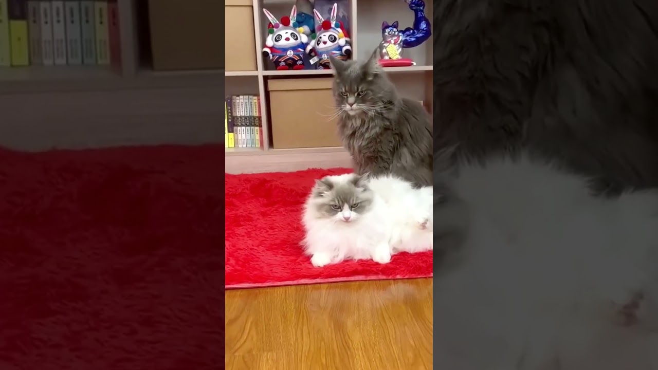 His kiss is so awesome 