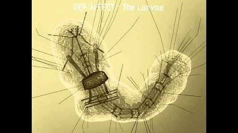 dep affect - irritated self separation