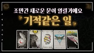 [타로] 조만간 당신에게 열릴새로운 문으로 들어올 기회