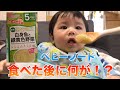 〜魚嫌い！ベビーフードなら食べれる？最後には自分で…〜【生後７ヶ月】I hate fish! Eat baby food!?【離乳食 中期】