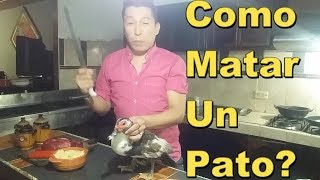 Como Matar Un Pato ? Por Jarom Music