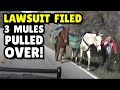 Officer Arrests.... Mules? --- Lawsuit Filed!