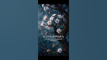 سُورَةُ التَّغَابُنِ - القارئ طارق محمد .. #القرآن #quran #طارق_محمد #القرآن_الكريم