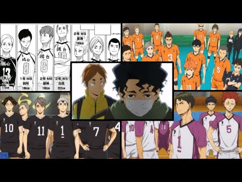 Top High School Teams (Stats) | Personal Opinion | Haikyuu!!