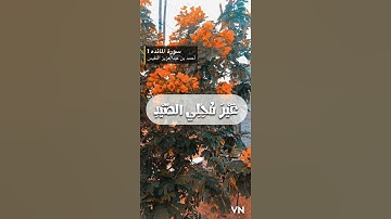 سورة المائده الايه 1
