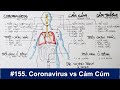 #155. Phân biệt giữa Coronavirus, cảm cúm, và cảm thường
