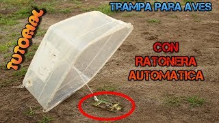 Trampa Automatica Para Aves Con Jaula Automatica y Casera / YMX  SUPERVIVENCIA 