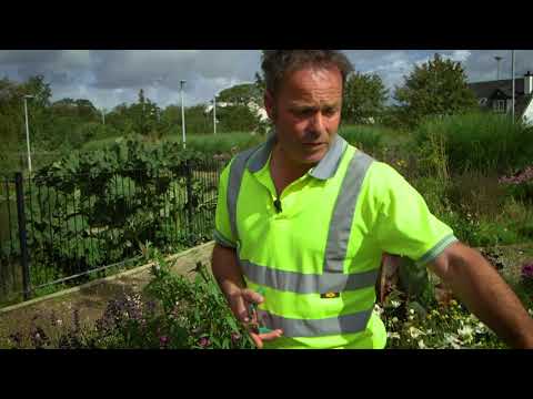 Biodiversity in Your