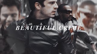 ⦁ Sam &amp; Bucky || Beautiful Crime