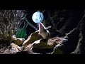 Wildlife chronicles killer mouse grasshopper mouse full documentary